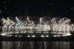 DSC01576a